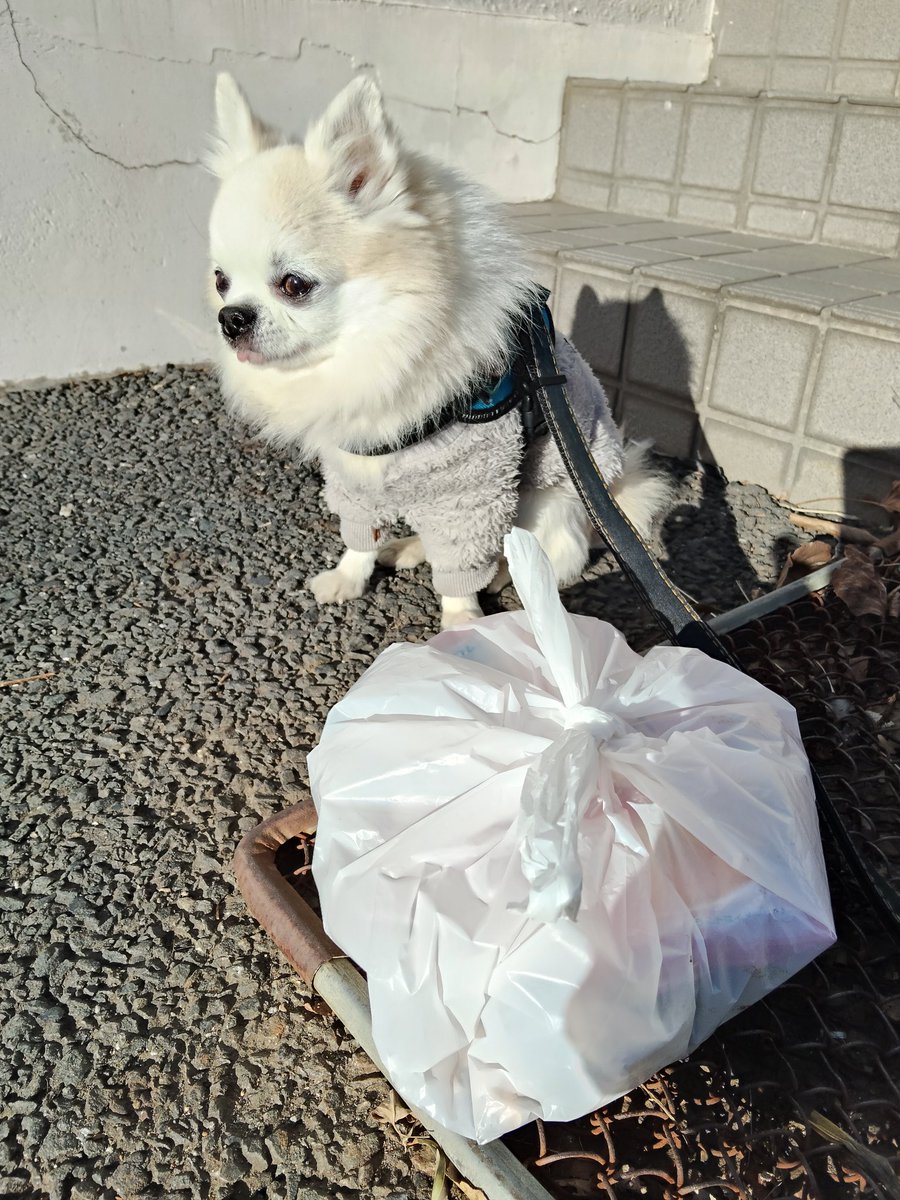 じゅんじゅん (@junjun_kana) / Posts / X