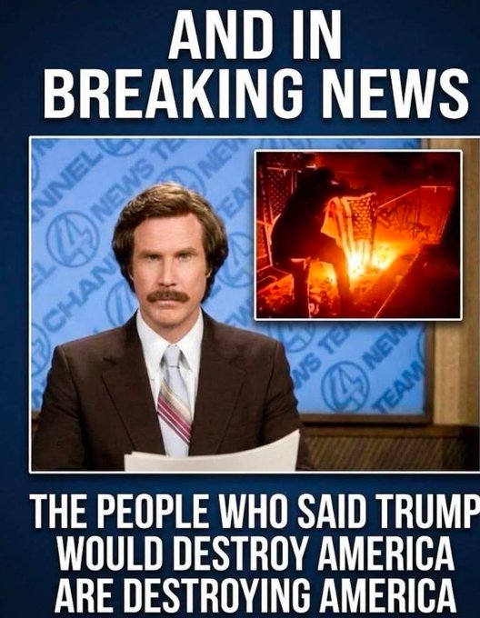 Libertarianesque Person tweet media