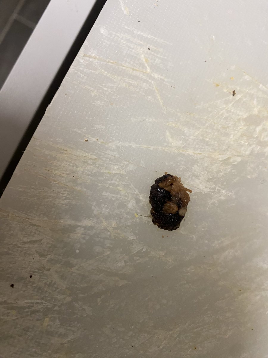 ivoteseth's tweet photo. @kelloggshelp_uk hi help me out please. This came free inside my new box of coco pops , bar code attached. Sadly it went from bowl to being inside my mouth. What the heck is it https://t.co/RGOE1hML1N