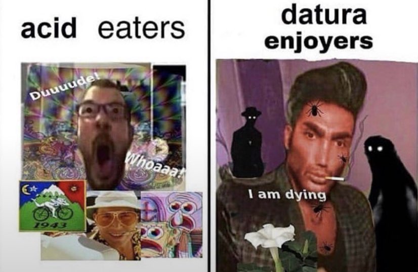 harm reduction hedonista🃏 (@suboxoneshawty) on Twitter photo 