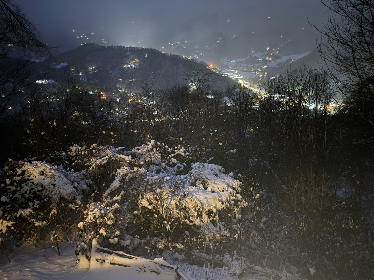 Kyle Perrotti tweet media