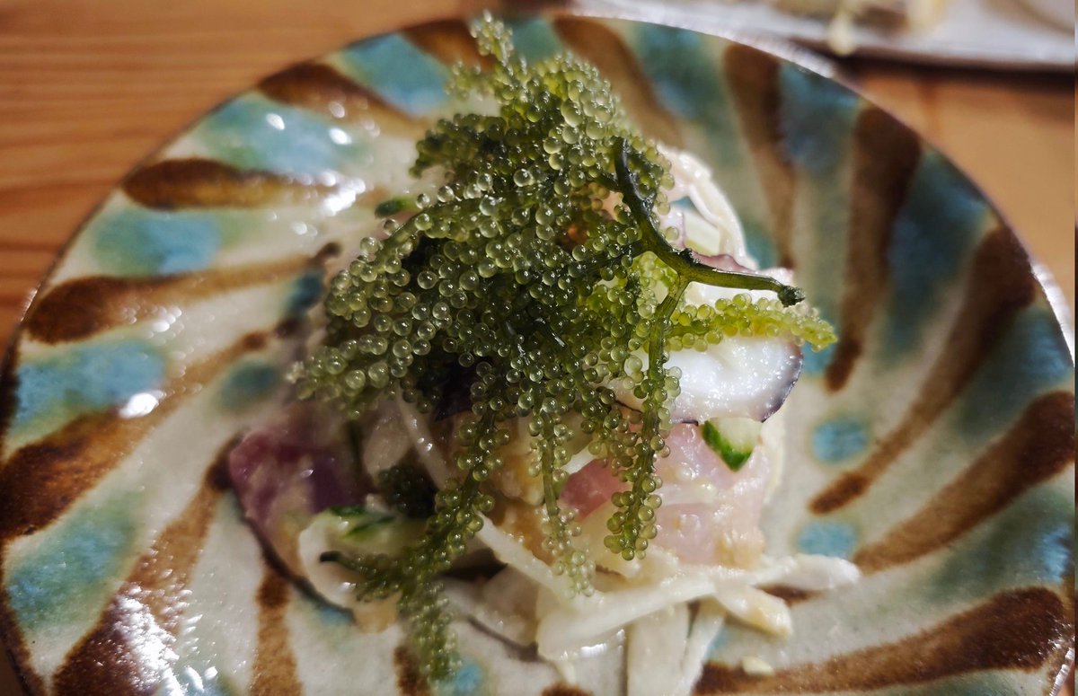 junbug0314's tweet image. #飯テロルーナイト
#写真部ルーナイト
昨夜知人が営んでるお店に飲みに行きました🎶　
センス良すぎてこれは定期的に行きたくなりました🍶