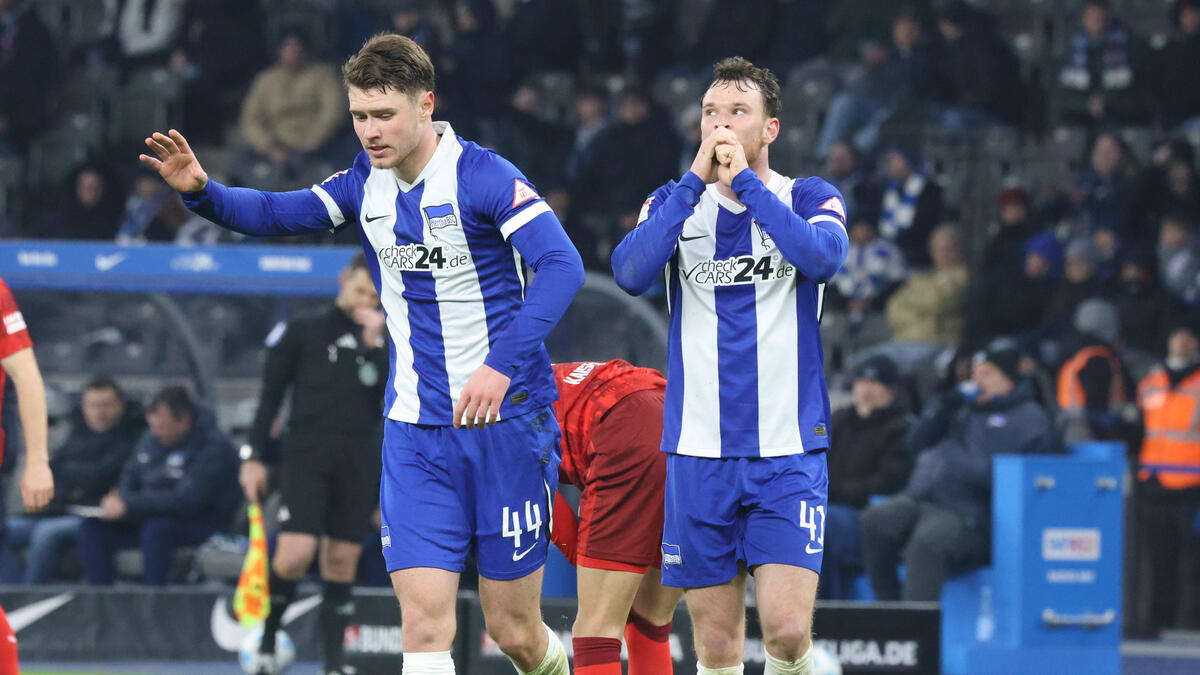 Absolute Hertha tweet media
