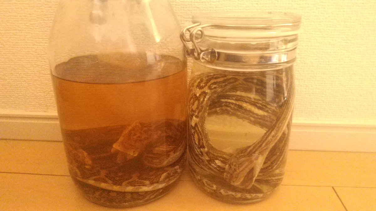 テセ松 tweet media