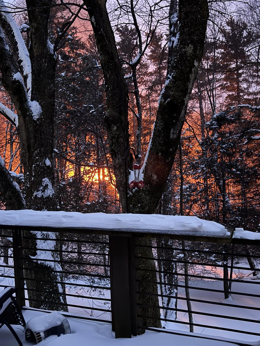 WataugaOnline tweet media