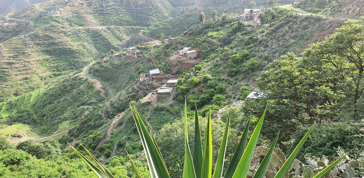 yooynas's tweet photo. Enjoy, Relaxing at Durfo 2030
#Eritrea #durfo #tourism https://t.co/c6r7KQuR1e