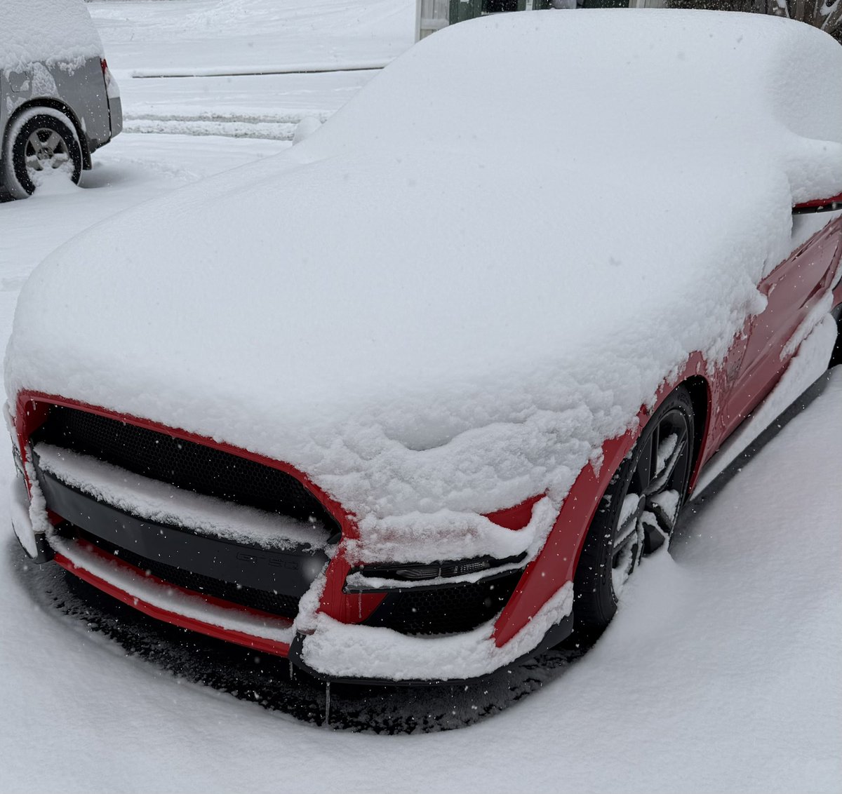 Baugher🧛🏼 tweet media