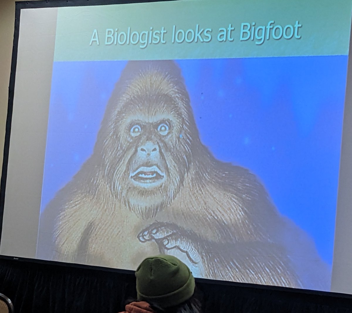 Dale Bowman tweet media