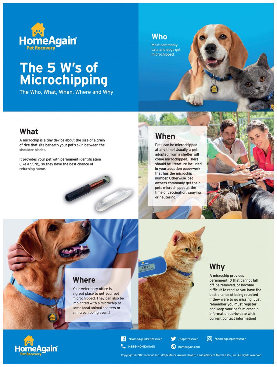 All About Animals tweet media