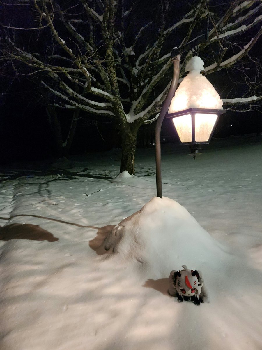 #WemiFBA #aonephys
Remi in a Winter Wonderland!