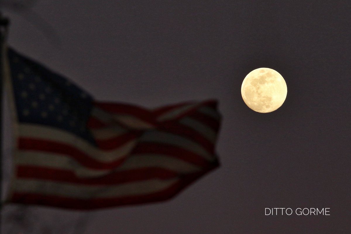 Ditto Gorme tweet media