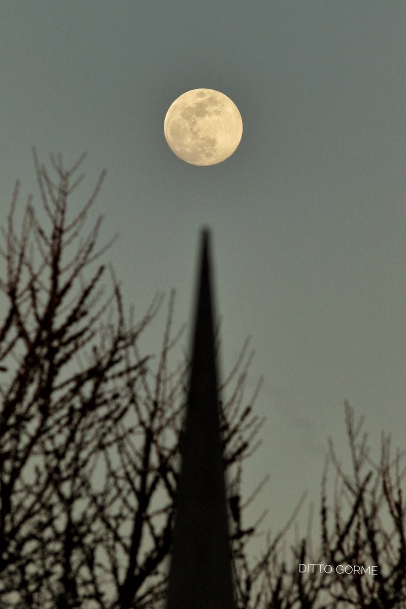 Ditto Gorme tweet media