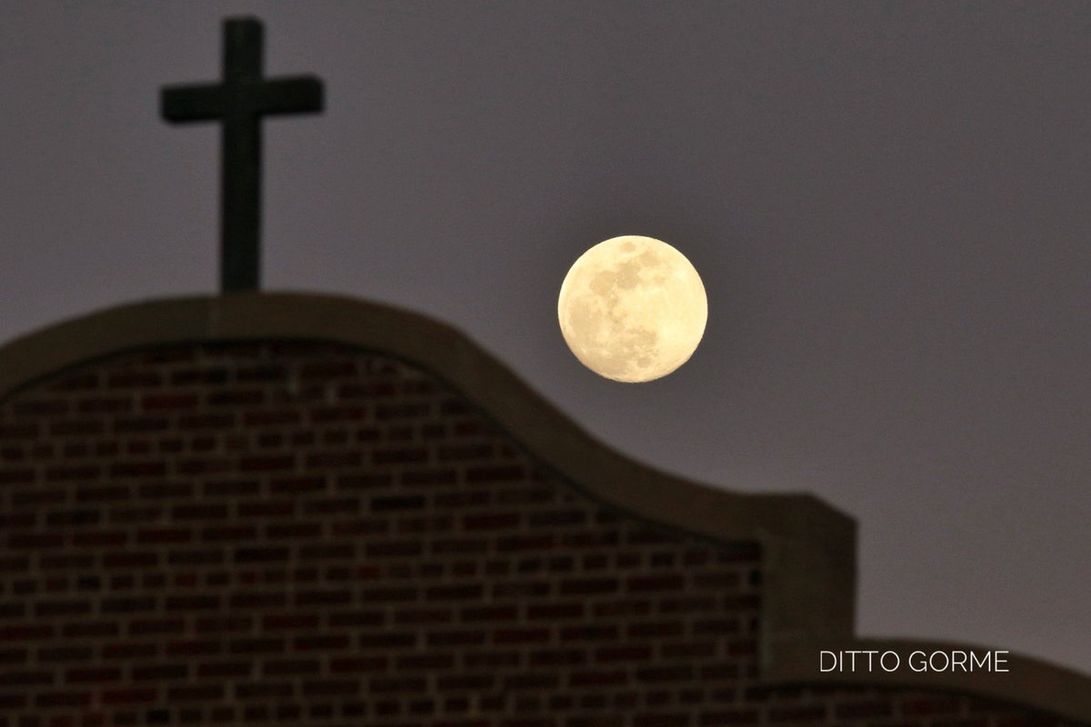 Ditto Gorme tweet media