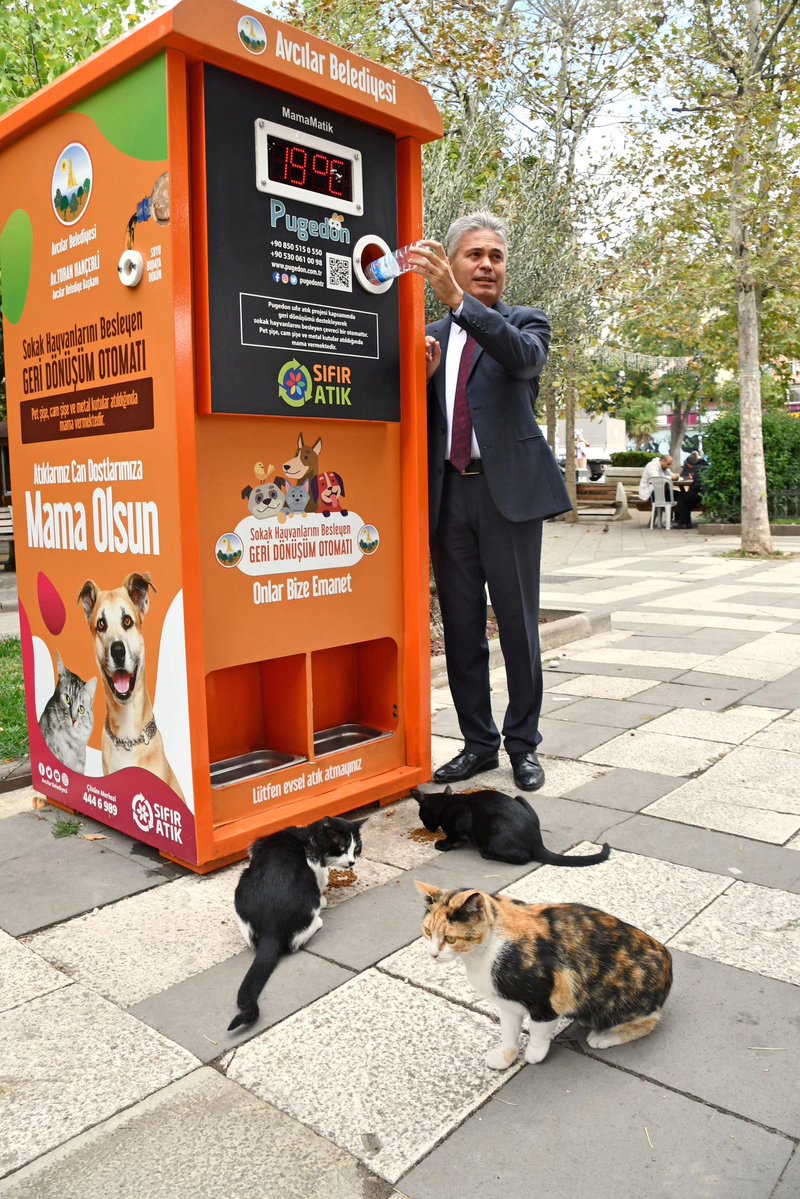 Istanbul’s cat vending machines now accept recycled bottles instead of coins.