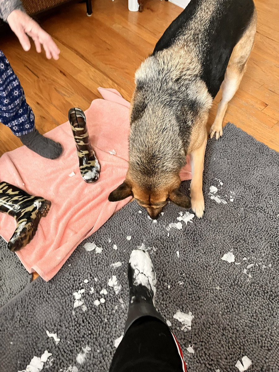 mjoaniedickson's tweet image. Have to take a minute and give a shout out to #muddymat Muddy Mat - we have the mat at our back door and it has proven extremely beneficial given the weather here in WNC the last two weekends - I highly recommend this mat y’all - 5 outta 5