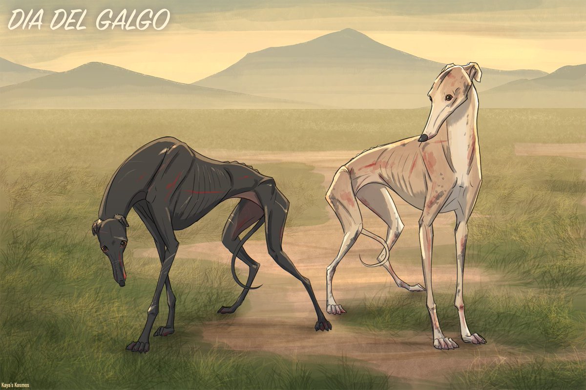 LaineyOldaker's tweet photo. February 1st is World Galgo Day. Thousands of Galgos (Spanish Greyhounds) and Podencos are abandoned, beaten and brutally killed at the end of the hunting season in Spain.💔 Pic by Kayas-kosmos
#FreeTheGalgo #DiaDelGalgo #WorldGalgoDay https://t.co/pwUk2TRZDL