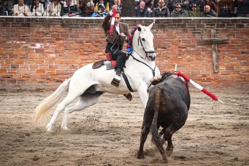 Ganadería Zacatepec tweet media