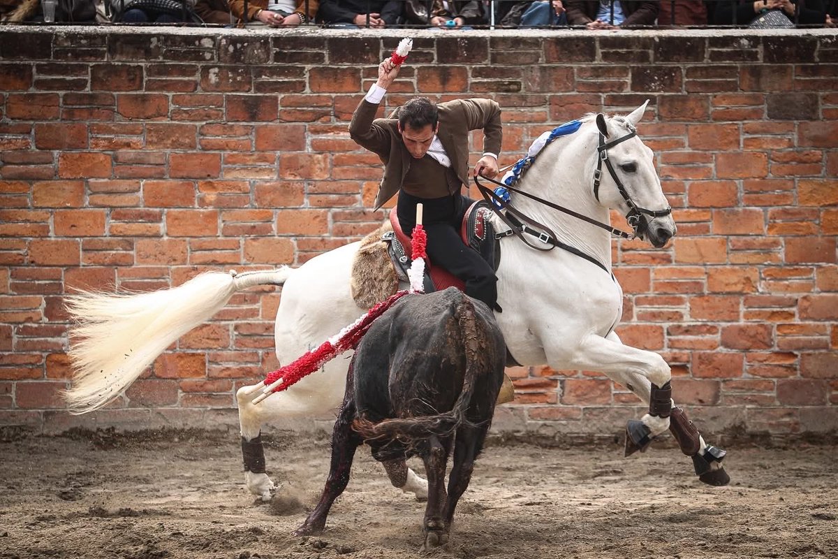 Ganadería Zacatepec tweet media