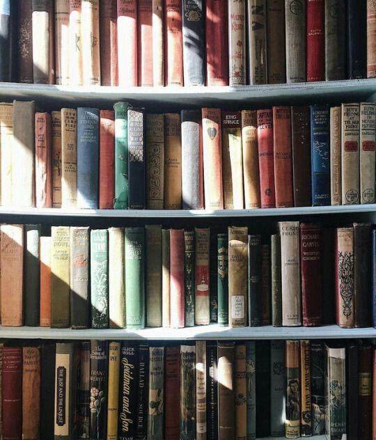 librofilos's tweet image. Me eligió como se elige un libro en una biblioteca. Ignoro si me escogió por el título, el lomo, la portada, la tipografía o por mi ubicación entre otros libros. No sé qué clase de texto fui para ella.

#JuanVilloro