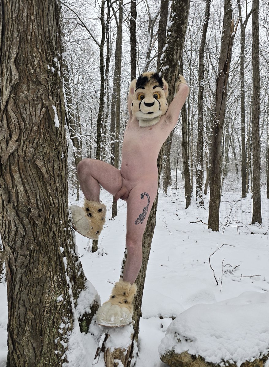 InvertedSpots's tweet photo. Snapped some pics while enjoying the snow #mursuit #murrsuit #outdoorexposed #outdoornude #exhibitionist #exhibitionism https://t.co/daHYIwOPZZ