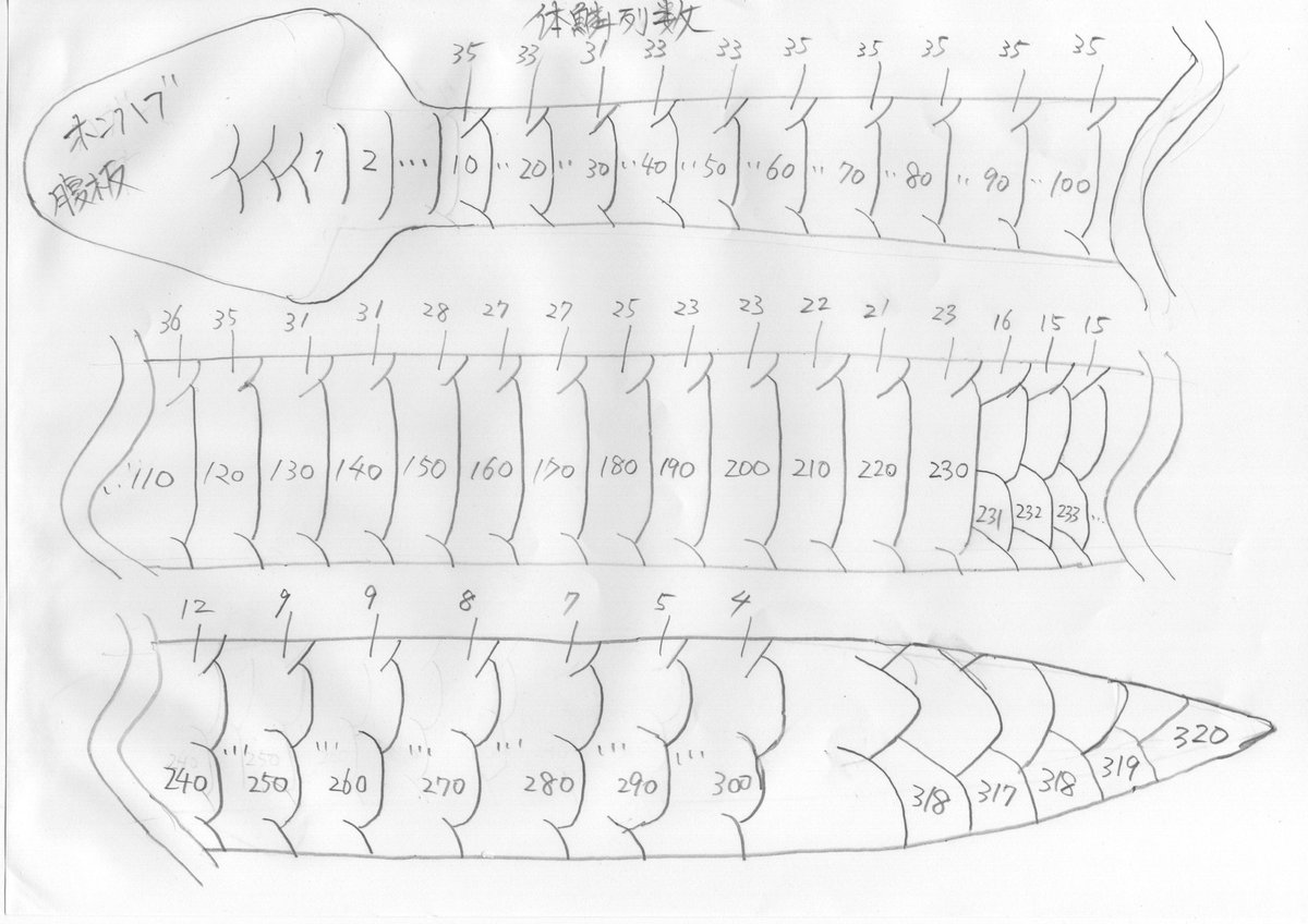 テセ松 tweet media