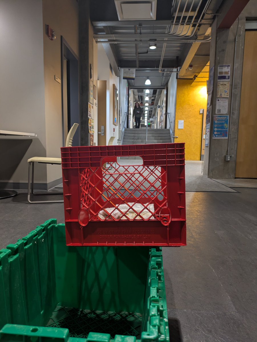 UW Bothell Smash Club tweet media