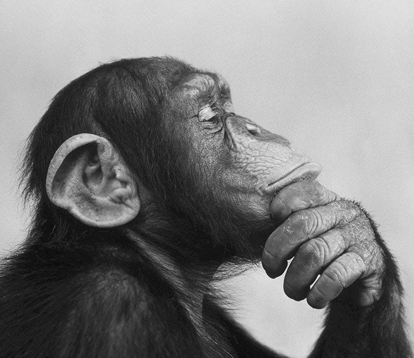 paulão da produção tweet media