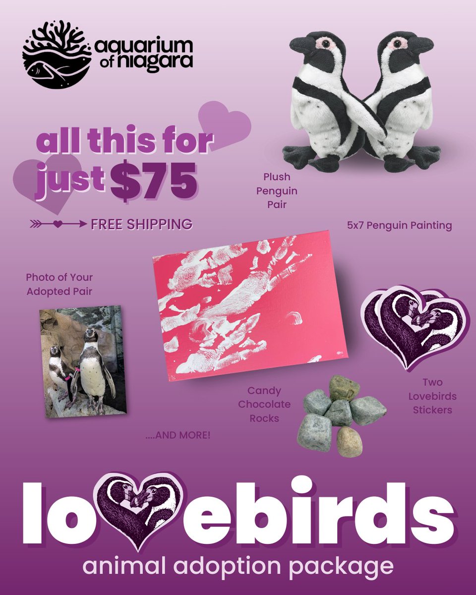 Aquarium of Niagara tweet media