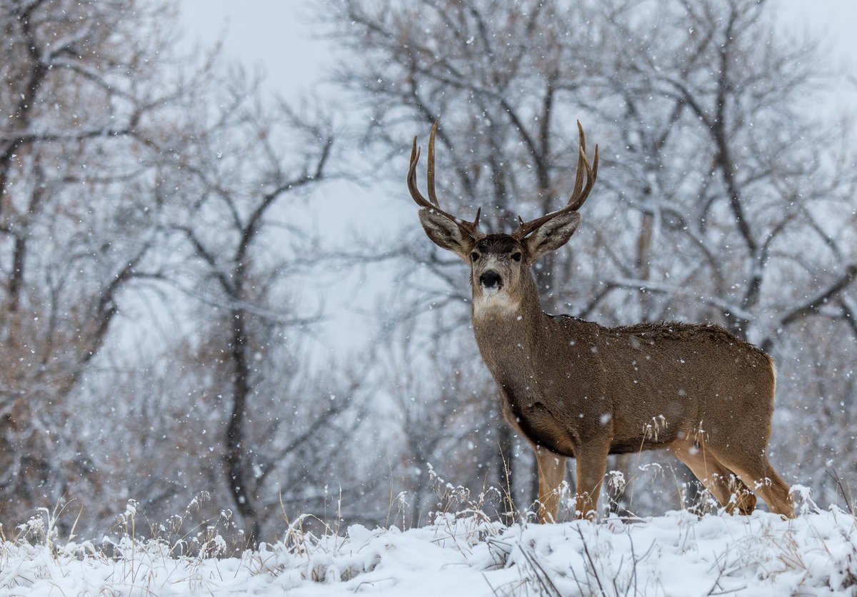 Outdoor buyers are seeing answers in AI search results before they ever click a site.

Visibility now means being included in the answer.

Clear use cases, specs, comparisons, and FAQs help brands show up in AI summaries.

Structure drives visibility.

#OutdoorIndustry