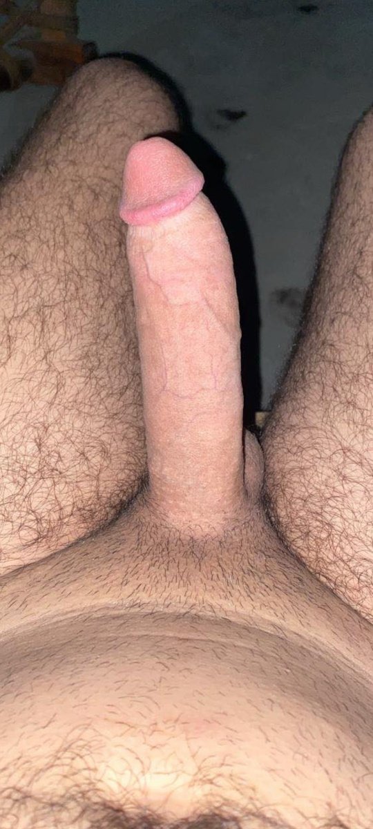 Ayan Gull tweet media