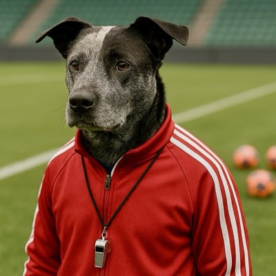 jos3504's tweet photo. #NewProfilePic https://t.co/NDddVj5qLm