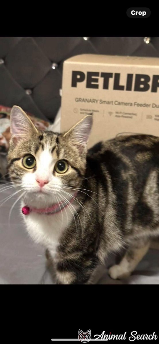 Paw Prints Left tweet media