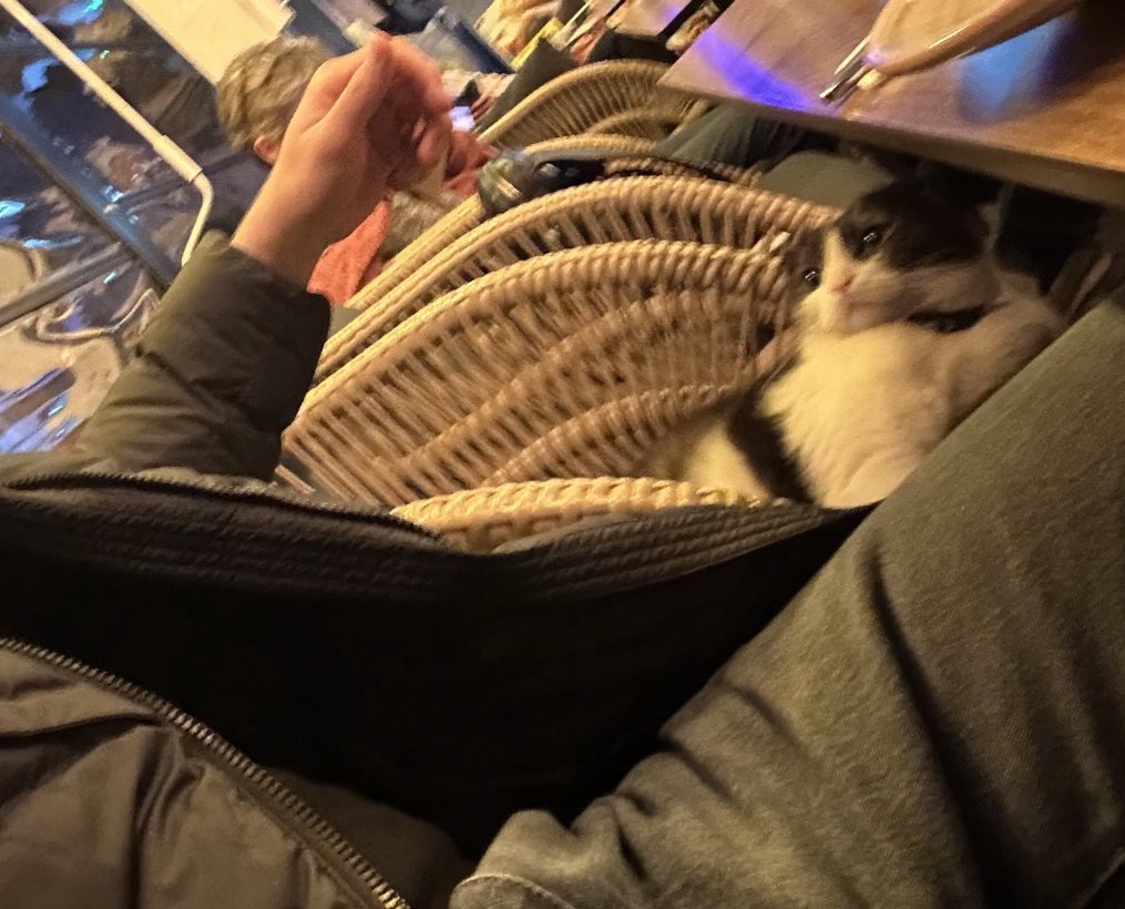 ibonaccii's tweet photo. Geldin sevdik doyurduk verdiğin poza bak ak ne gördün ne https://t.co/UanhDbcke3