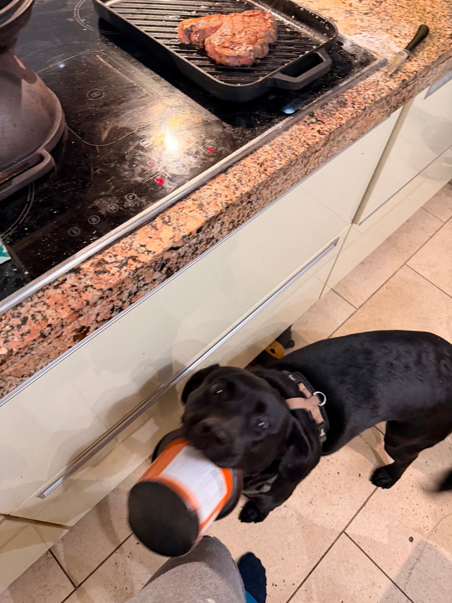 She has - optimistically - brought a food bowl 🏆