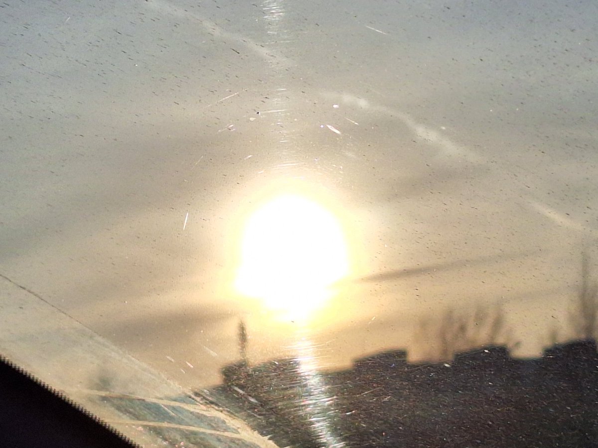 SheeppyReddy's tweet photo. Beautiful Sunset before warm sun :)
HAPPY JANUARY 31 https://t.co/uF1HeMEZaE