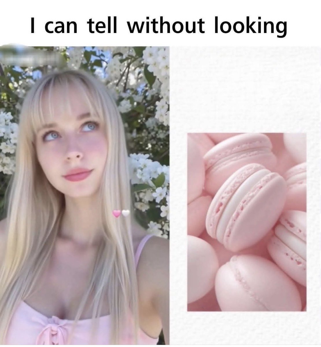 Prairie Putz tweet media