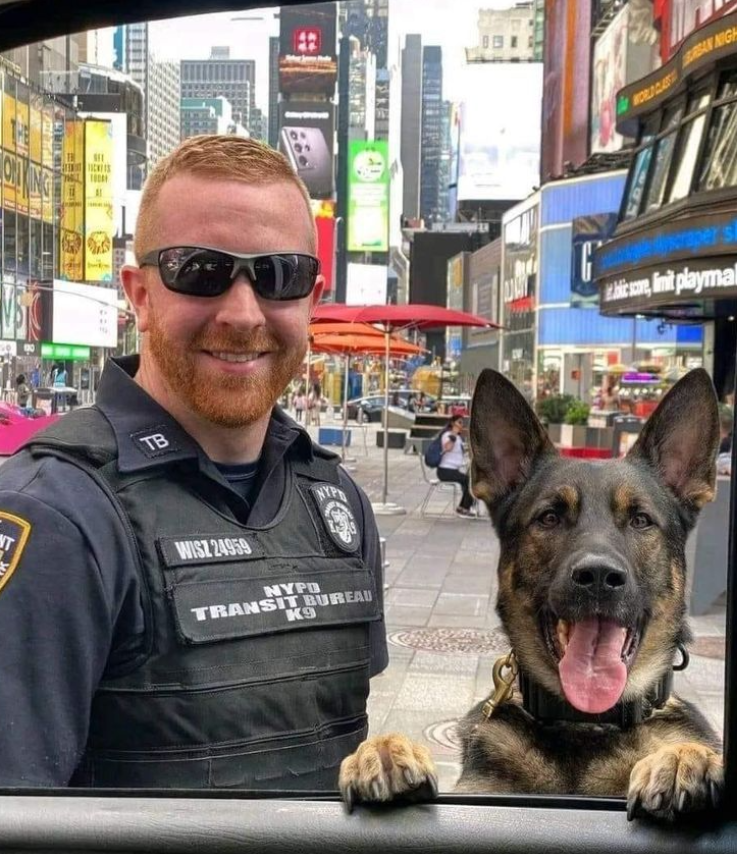 Best in Dogs tweet media