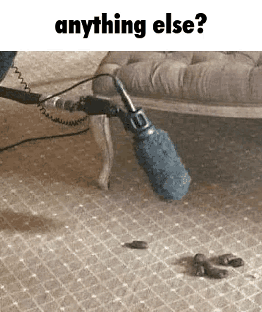 Blue 🐈‍⬛ tweet media