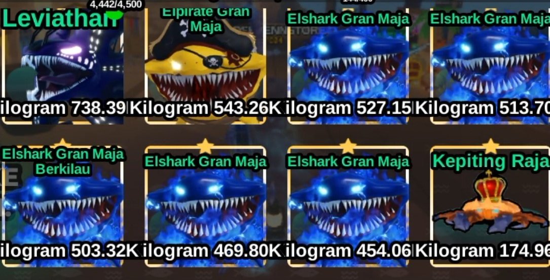 faxxy|seller gag and fisch it 🎣 tweet media