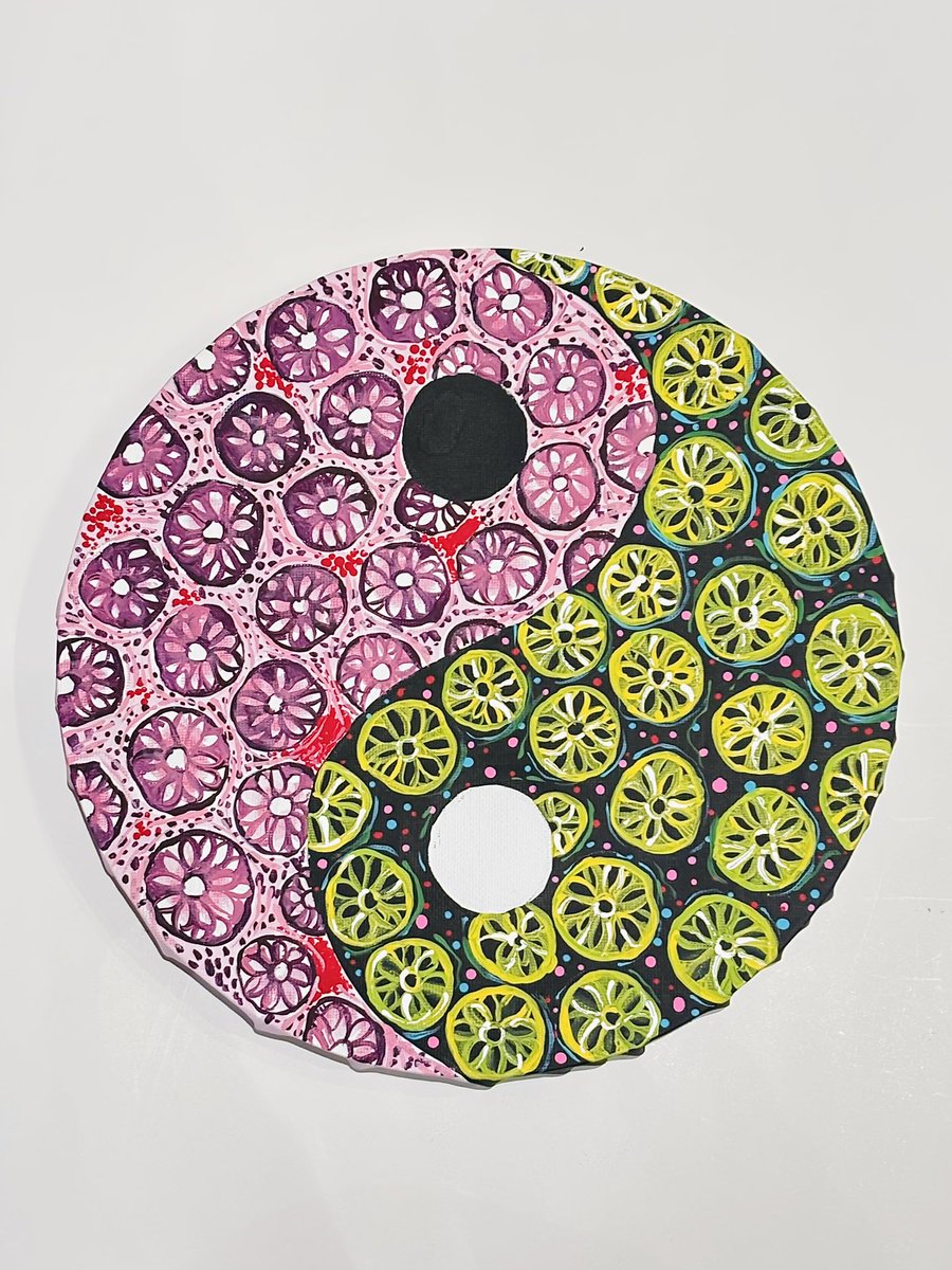 mishadalal's tweet photo. Back to painting after a hiatus🎨

Path Yin Yang — depicting colonic morphology on H&amp;E alongside corresponding features under fluorescent immunofluorescence.

#PathArt #pathology #medillustration #MedTwitter https://t.co/xezm0F1puJ