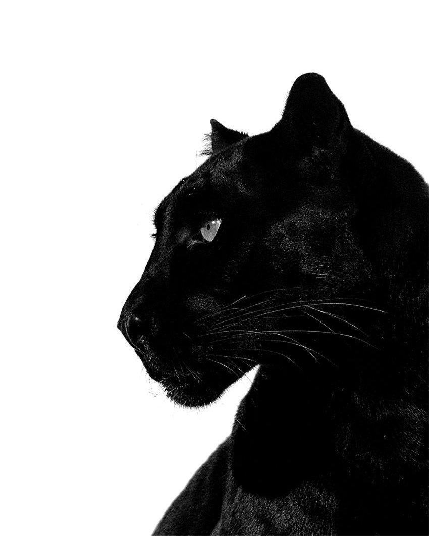 ℬ ❦ (@tae7gi) on Twitter photo 