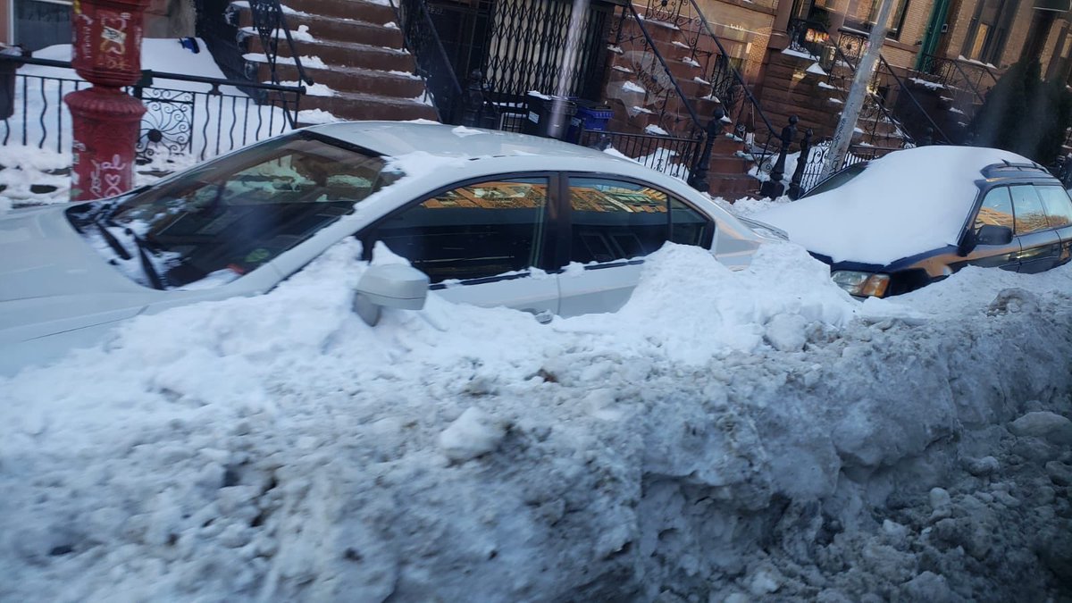 Jusquifabio Flores tweet media