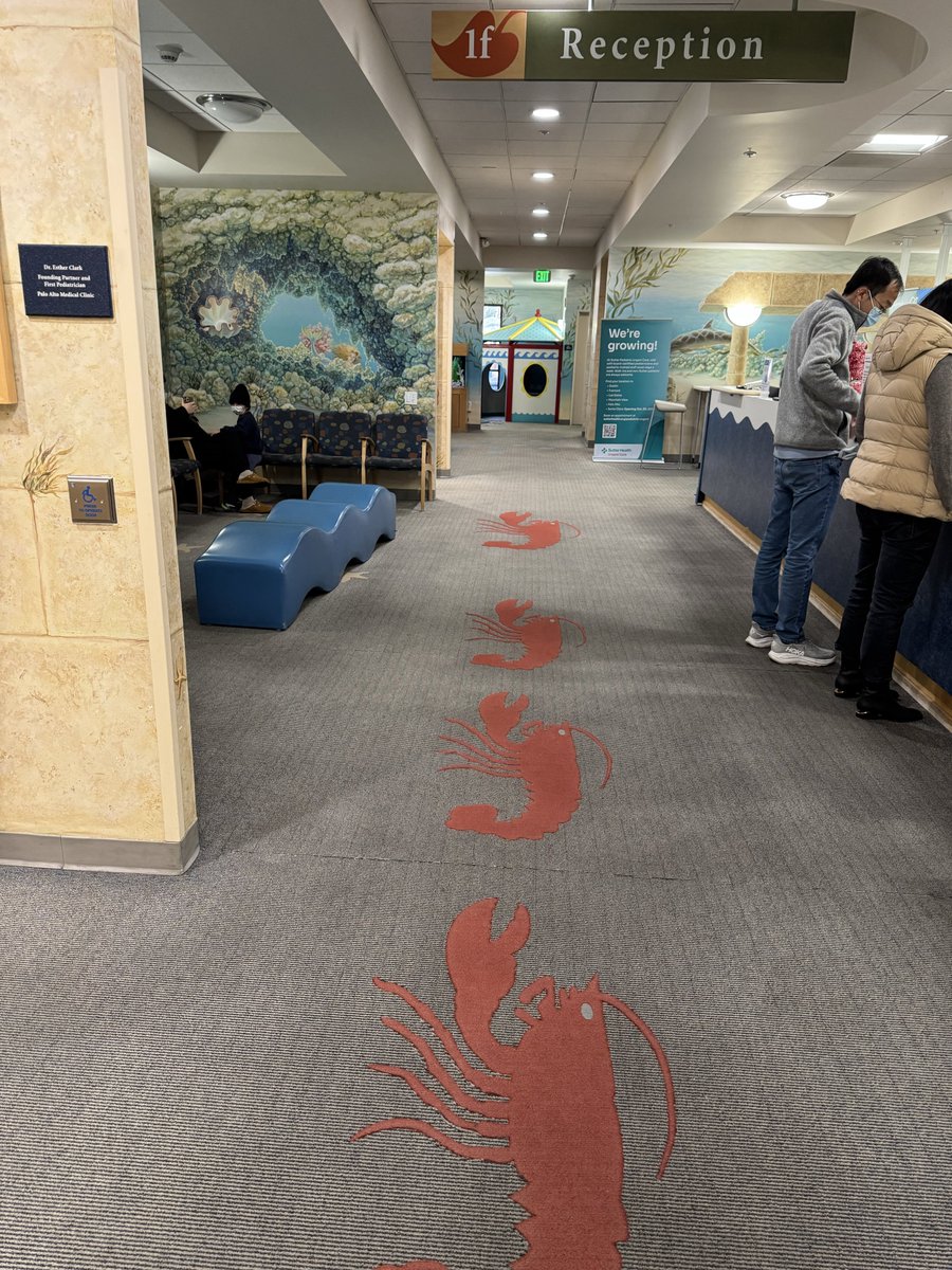 Murat Sutunc tweet media