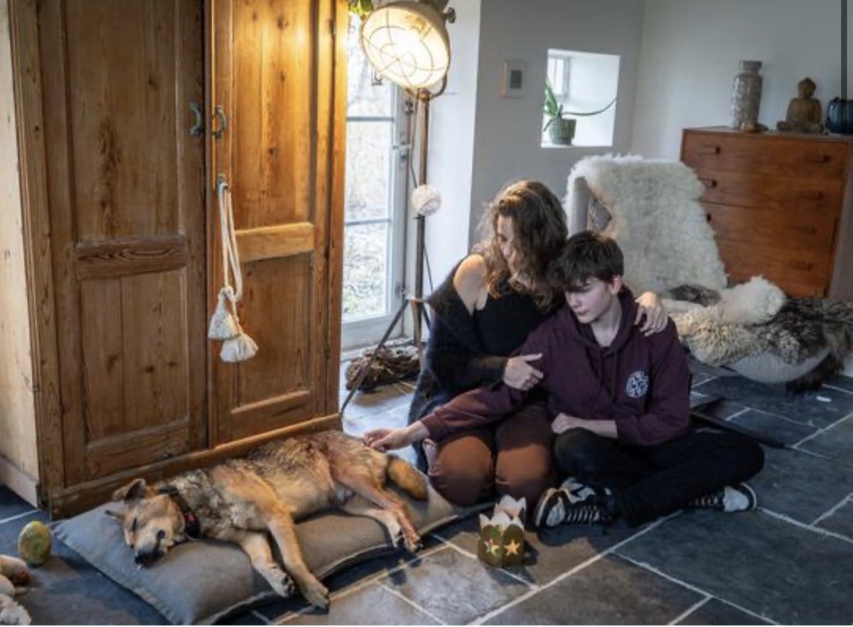 En waar zijn de praatprogramma’s en het journaal nu???
Wat VRESELIJK!
Jager dacht wolf dood te schieten. Maar schoot een dierbare huisgenoot dood. 

<a href="/RTLnieuws/">RTL Nieuws</a> <a href="/SBS6/">SBS6</a> <a href="/JinekLive/">Eva Jinek</a>  <a href="/HumbertoTan/">Humberto Tan</a> <a href="/telegraaf/">De Telegraaf</a> <a href="/ADnl/">AD.nl</a>  

archive.is/yjvXn