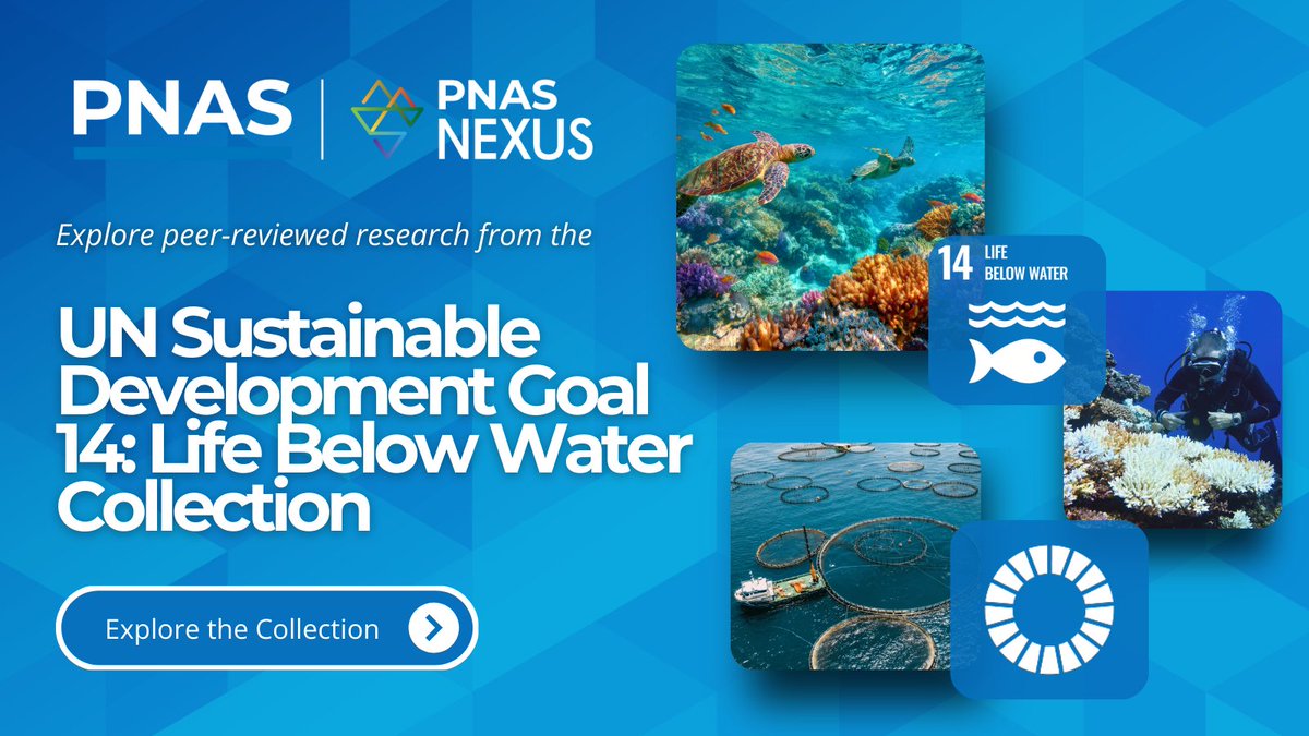 PNASNews's tweet image. What does the science say about protecting our oceans? 🌊 Discover high-impact research on marine ecosystems, fisheries, biodiversity &amp;amp; conservation from PNAS and @PNASNexus. Explore SDG 14: ow.ly/YjnR50Y6gW5

#MarineConservation #OceanScience