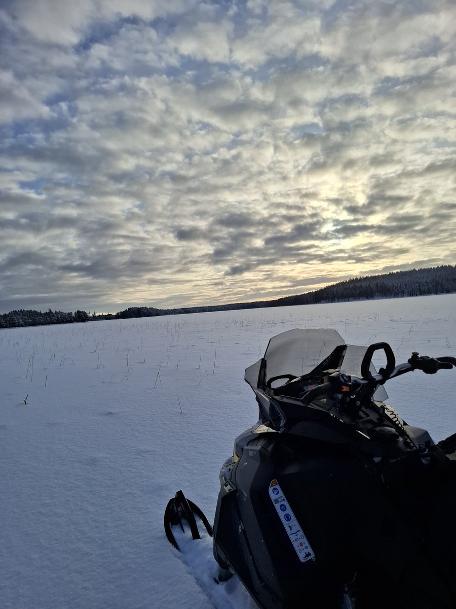 Magnus Jonsson tweet media