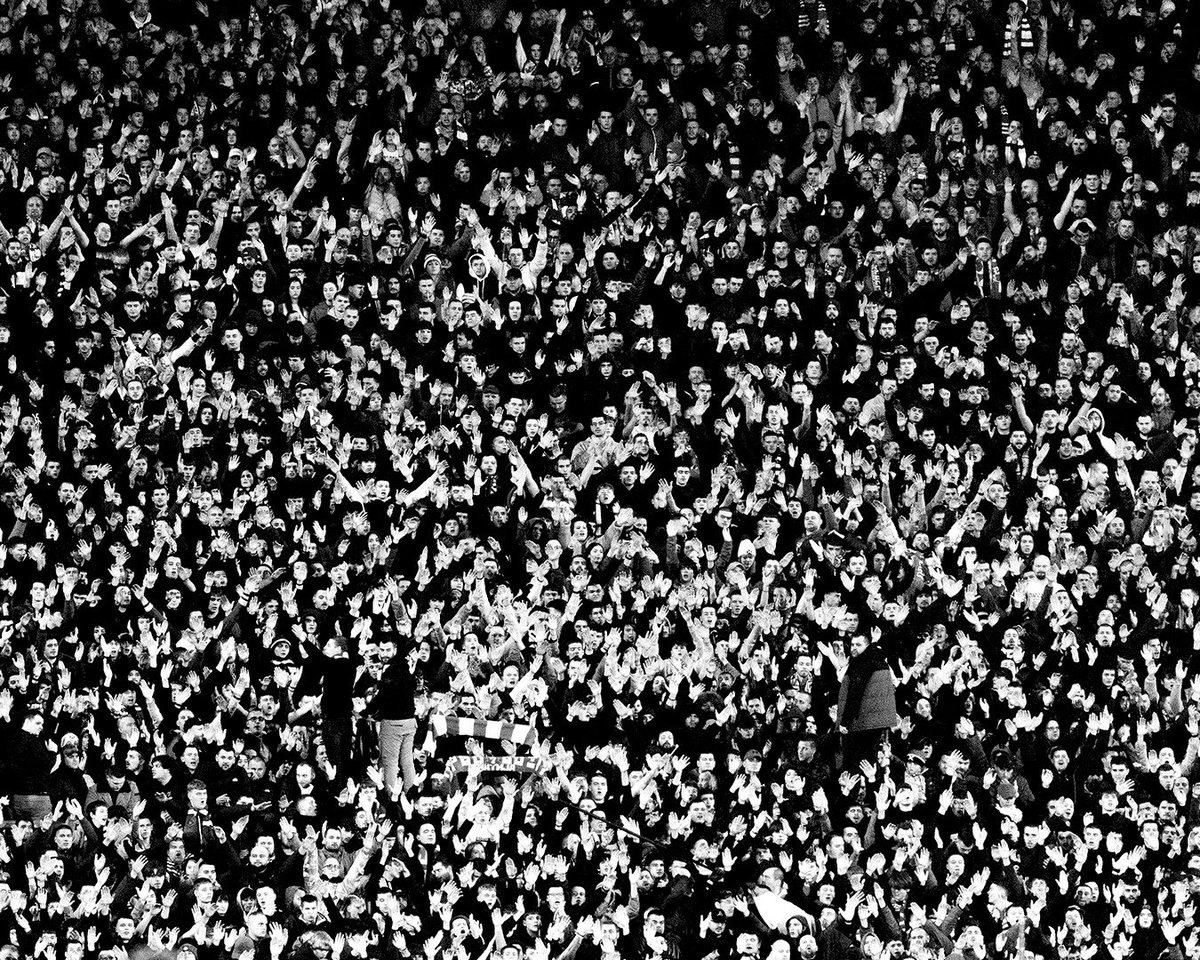 diegunsson tweet media