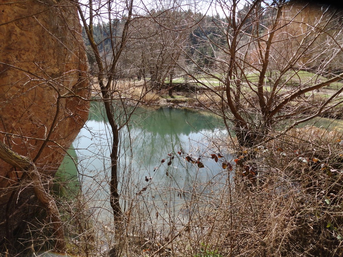 KatySnchez's tweet image. Paisaje natural con una pequeña lagunilla. #paisaje #laguna #invierno #hacerfotos