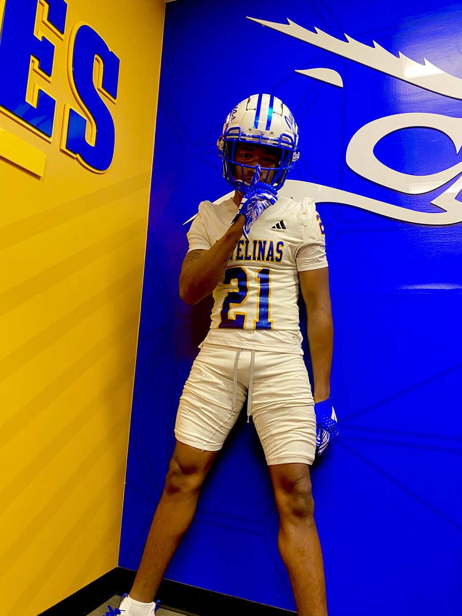 Marzellushunter tweet media