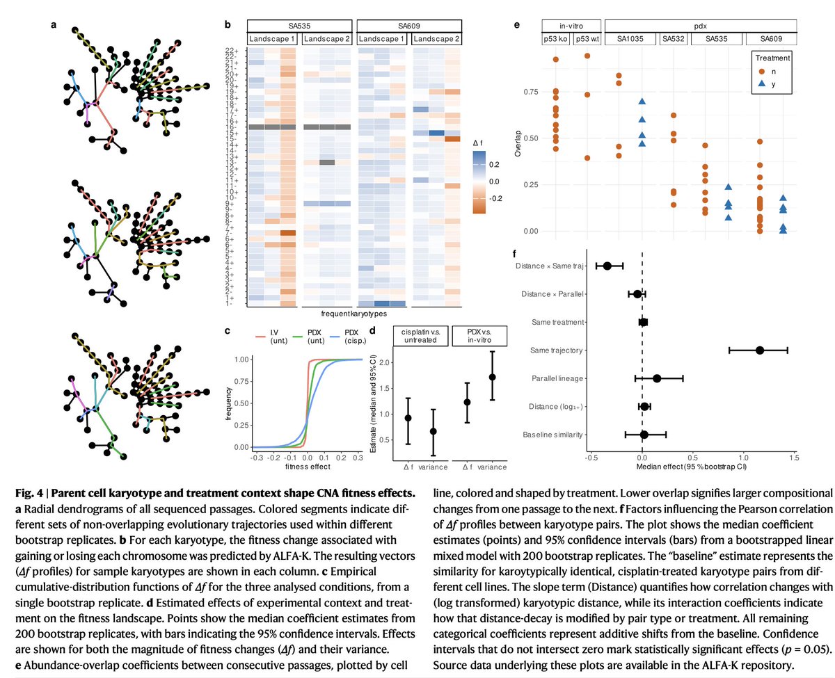 Noemi Andor tweet media